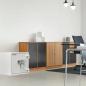 Preview: Rottner Wertschutzschrank EN2 Diamant Fire Premium PO50 Doppelbartschloss T05908
